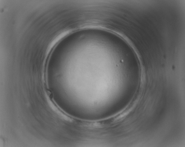 X0000052550957200507011127