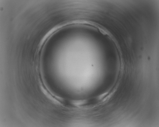 X0000052550958200507011127