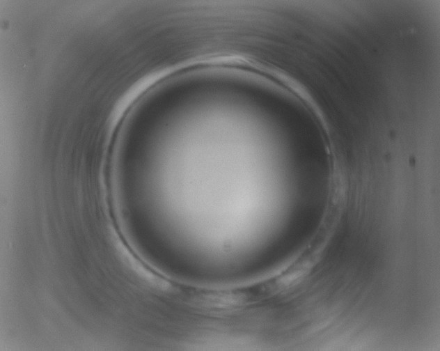 X0000052550959200507011127