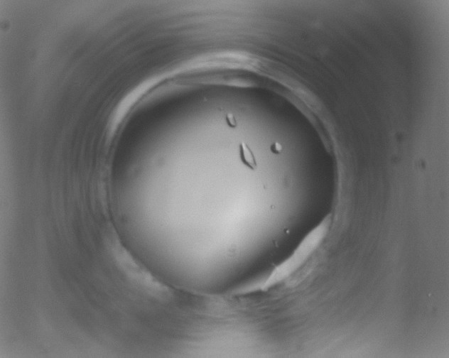 X0000052550960200507011127