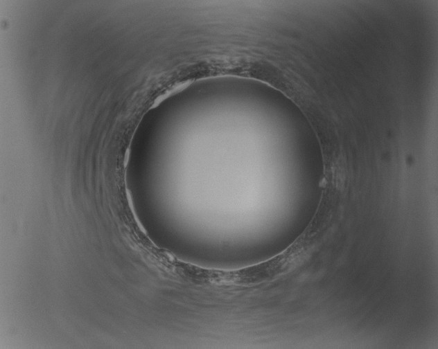 X0000052550961200507011126