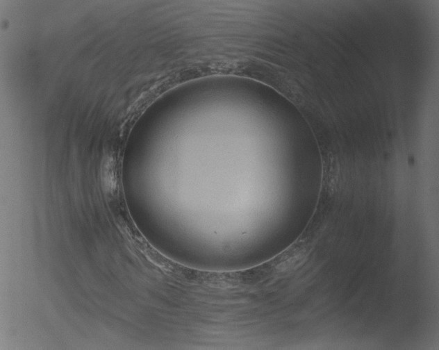 X0000052550962200507011126