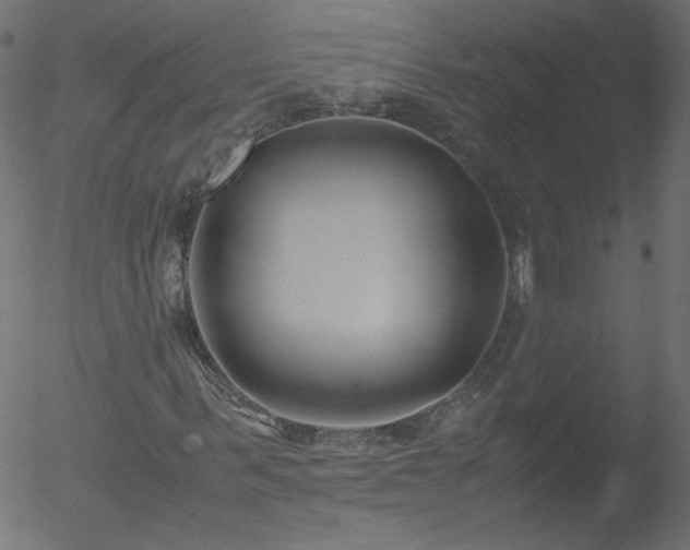 X0000052550963200507011126