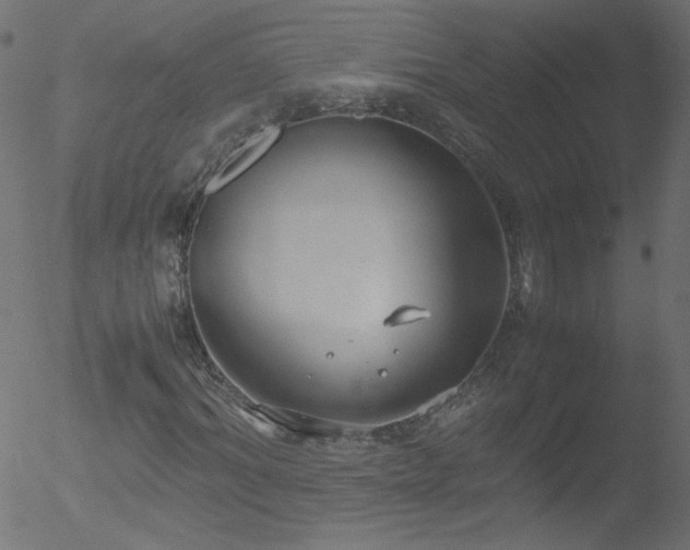 X0000052550964200507011126