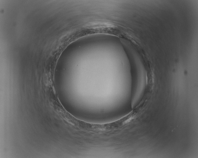 X0000052550965200507011126