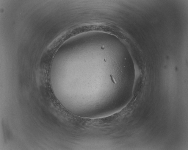 X0000052550967200507011126