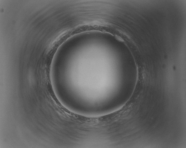 X0000052550968200507011126