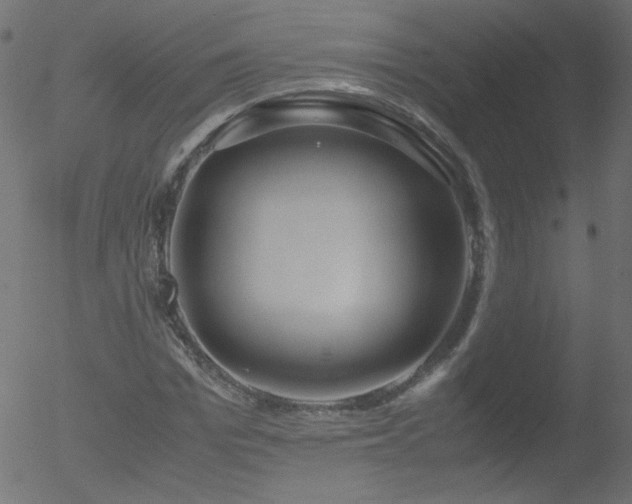 X0000052550969200507011126