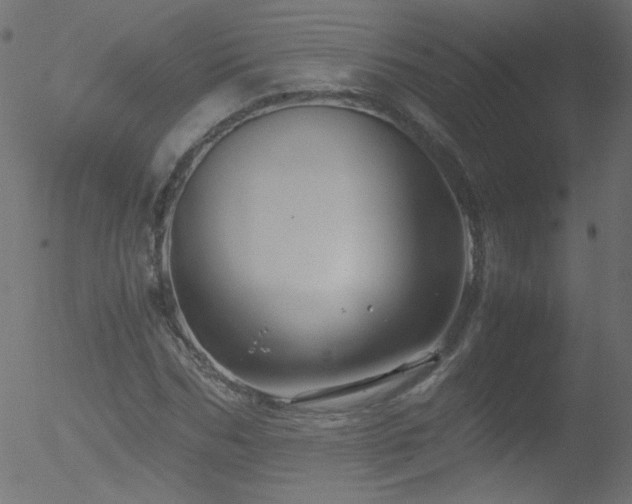 X0000052550970200507011126