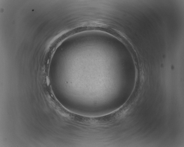 X0000052550971200507011126