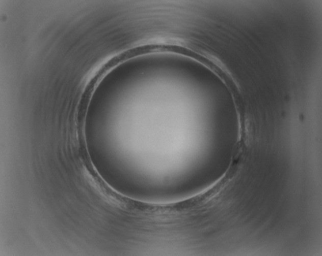 X0000052550972200507011126