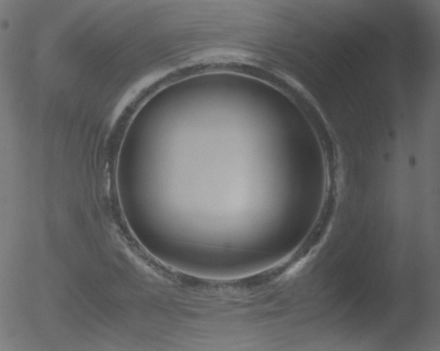 X0000052550973200507011126