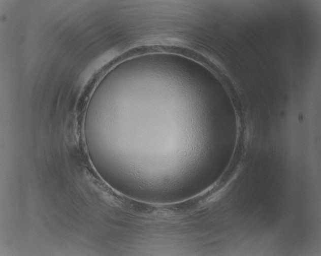 X0000052550974200507011126