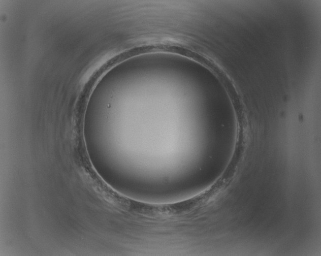 X0000052550975200507011126