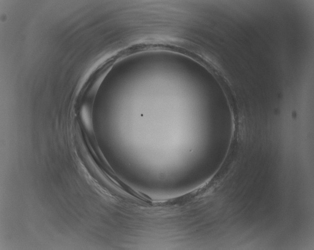 X0000052550976200507011126