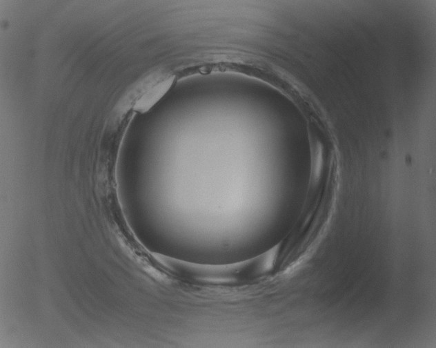 X0000052550977200507011126