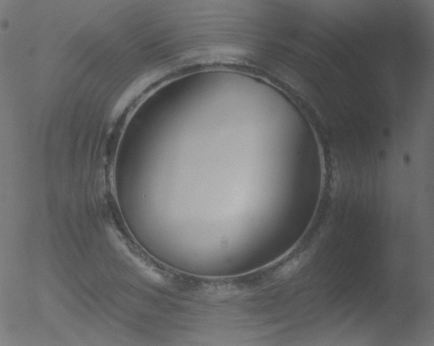 X0000052550978200507011126