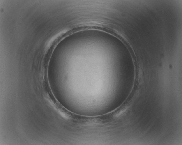 X0000052550979200507011126