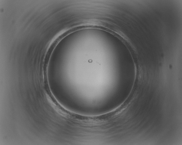 X0000052550980200507011126