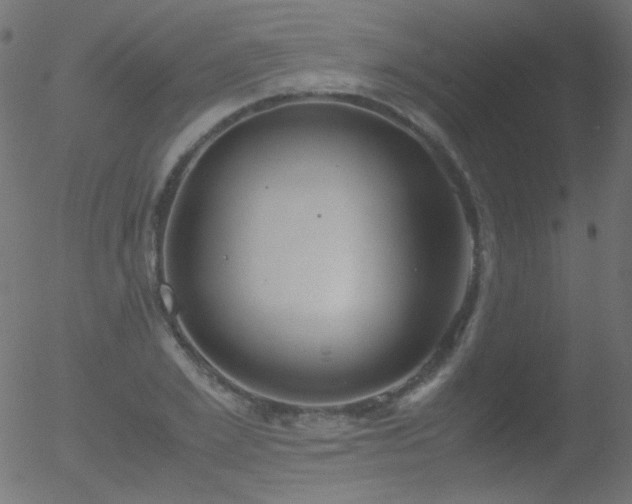 X0000052550981200507011126