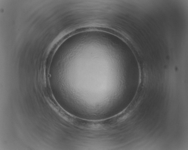 X0000052550982200507011126