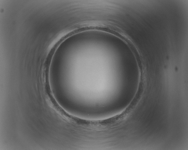 X0000052550983200507011126