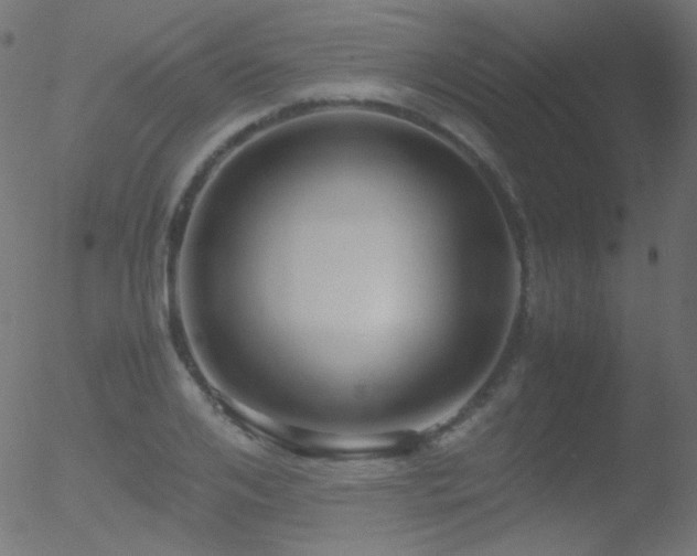 X0000052550984200507011126