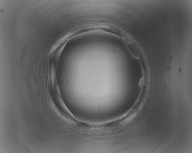 X0000052550985200507011126