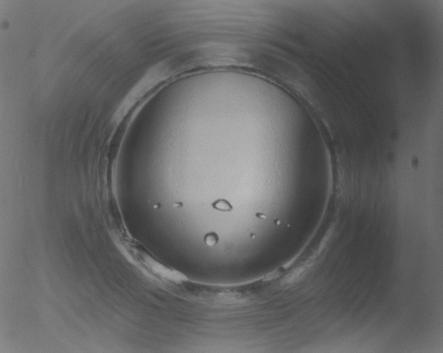 X0000052550986200507011126