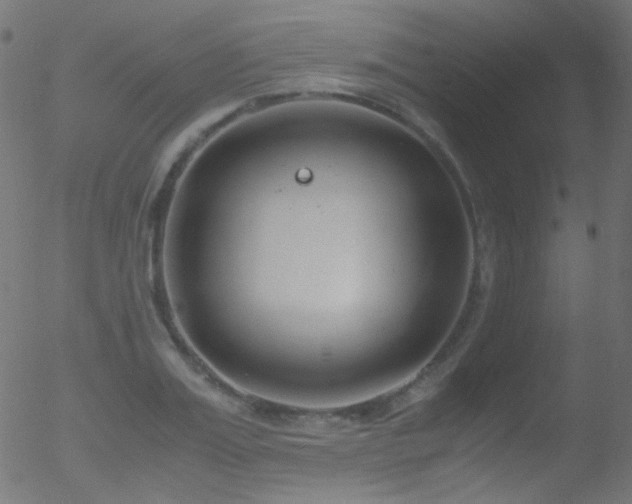 X0000052550987200507011126