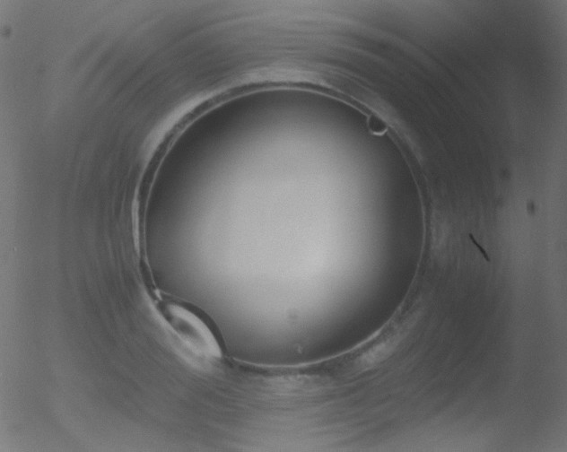 X0000052550988200507011126