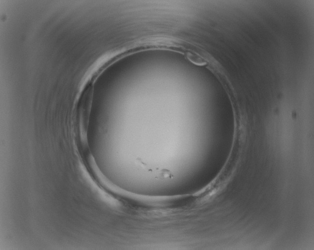 X0000052550989200507011126