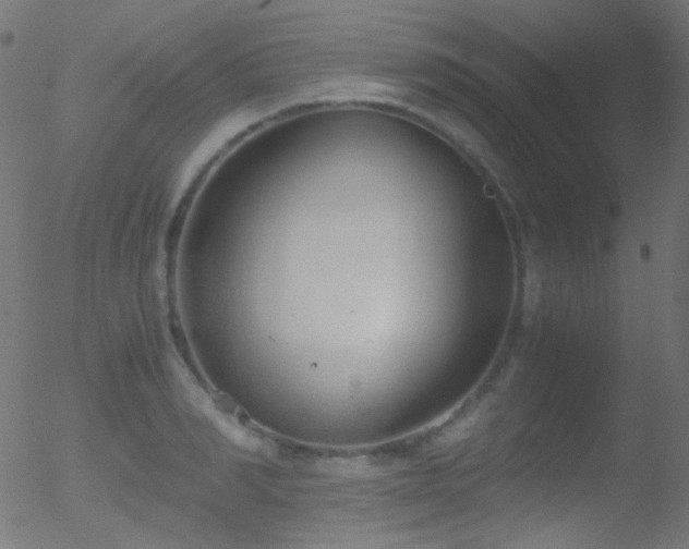 X0000052550990200507011126