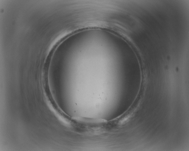 X0000052550991200507011126