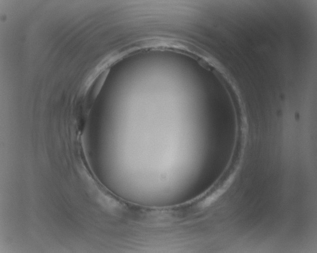 X0000052550993200507011126