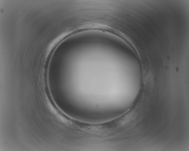 X0000052550995200507011126