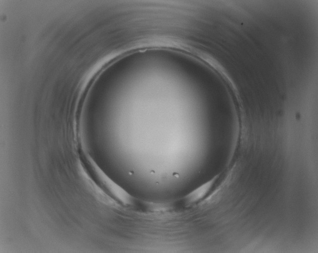 X0000052550996200507011126