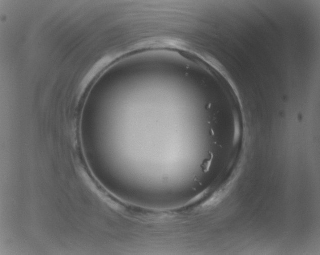 X0000052550997200507011126