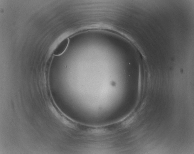 X0000052550998200507011126