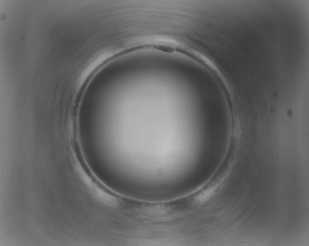 X0000052550999200507011126