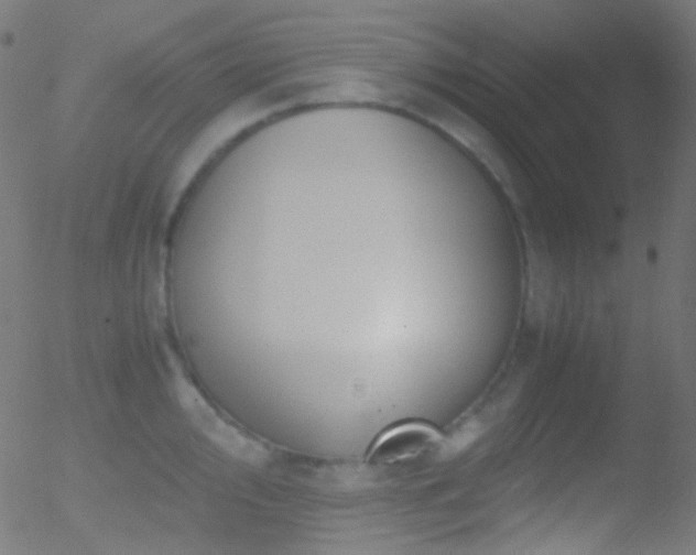 X0000052551000200507011126