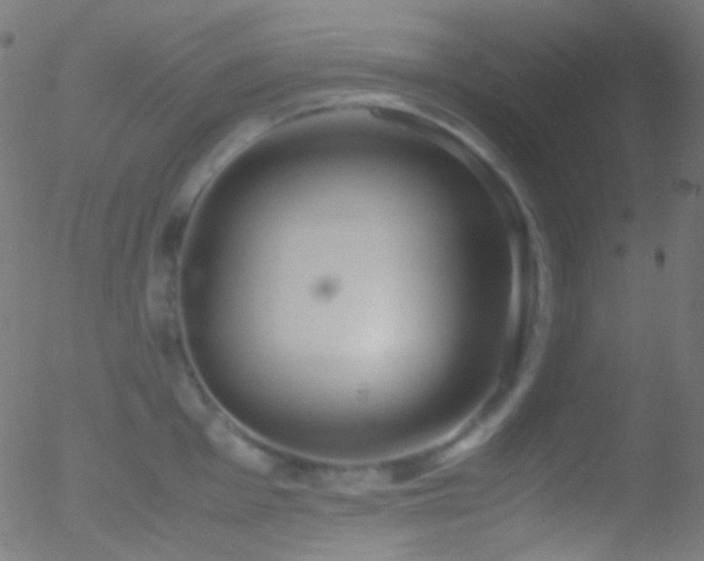 X0000052551001200507011126