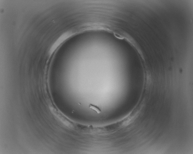 X0000052551002200507011126