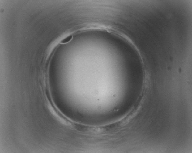 X0000052551003200507011126