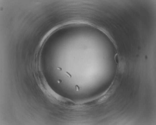 X0000052551004200507011126