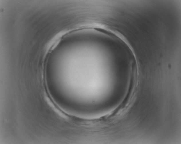 X0000052551005200507011126