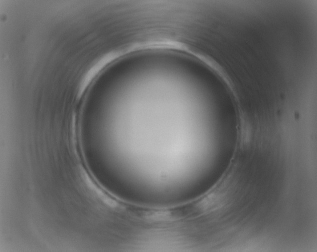 X0000052551006200507011125