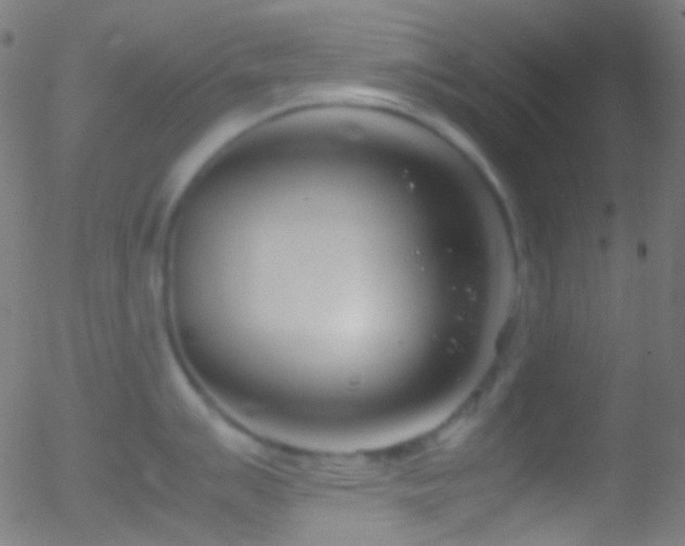 X0000052551007200507011125