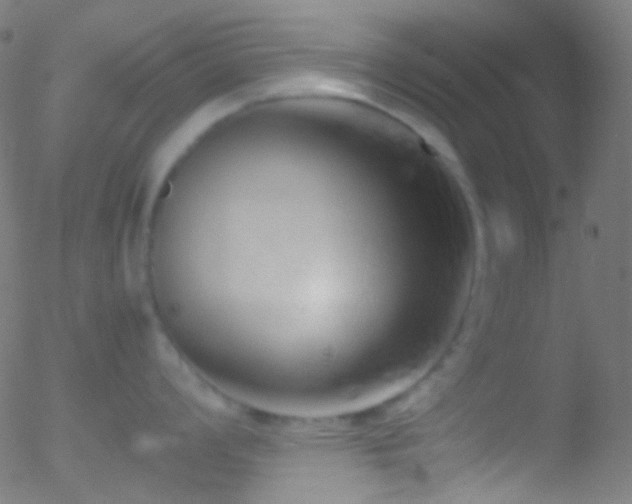 X0000052551008200507011125