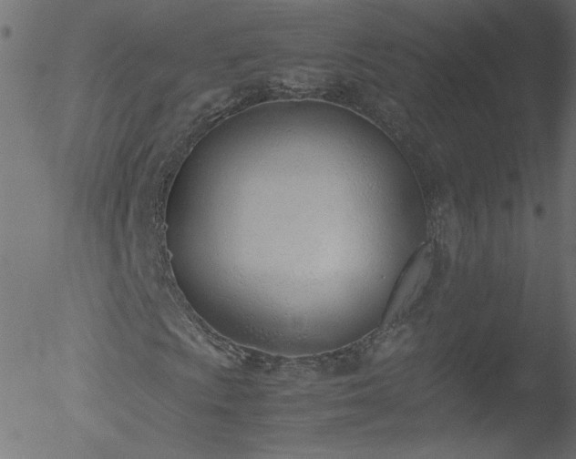 X0000052551009200507011125